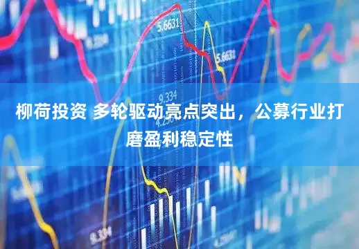 柳荷投资 多轮驱动亮点突出，公募行业打磨盈利稳定性