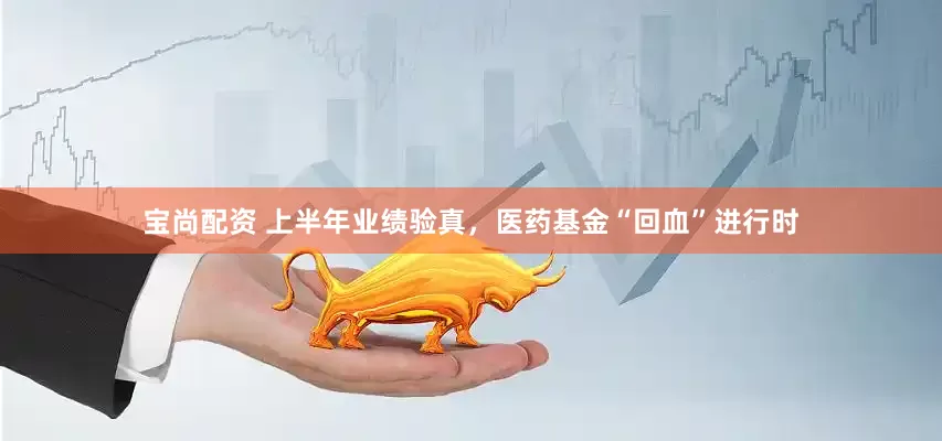 宝尚配资 上半年业绩验真，医药基金“回血”进行时