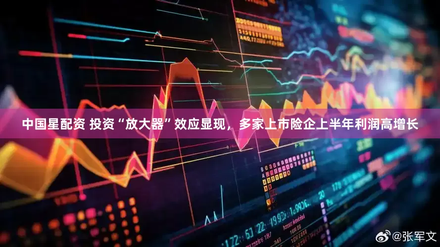 中国星配资 投资“放大器”效应显现，多家上市险企上半年利润高增长